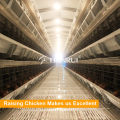 Tianrui Poultry Farming Equipment Chicken Poultry Cage